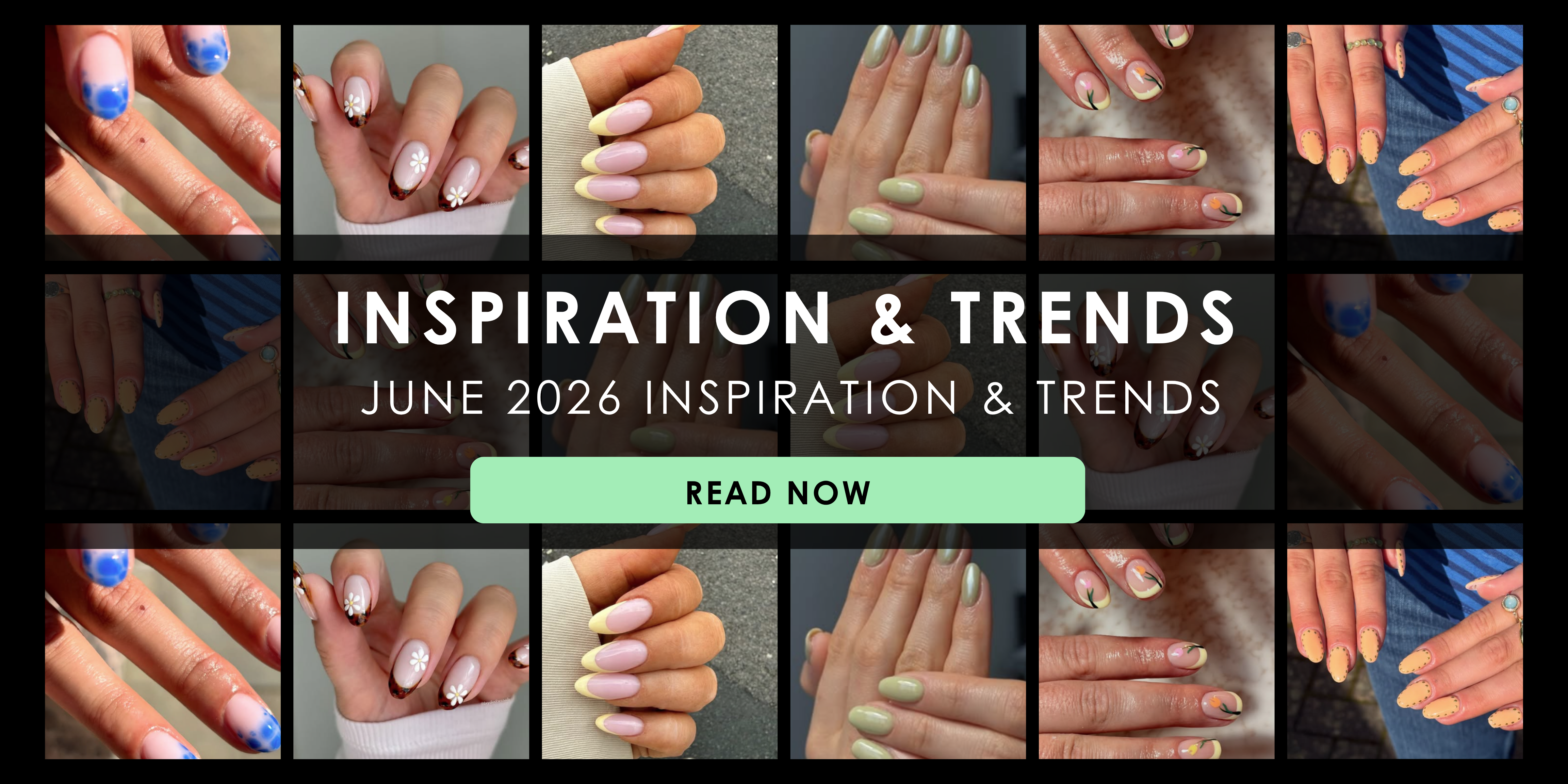 June 2026 Inspiration & Trends