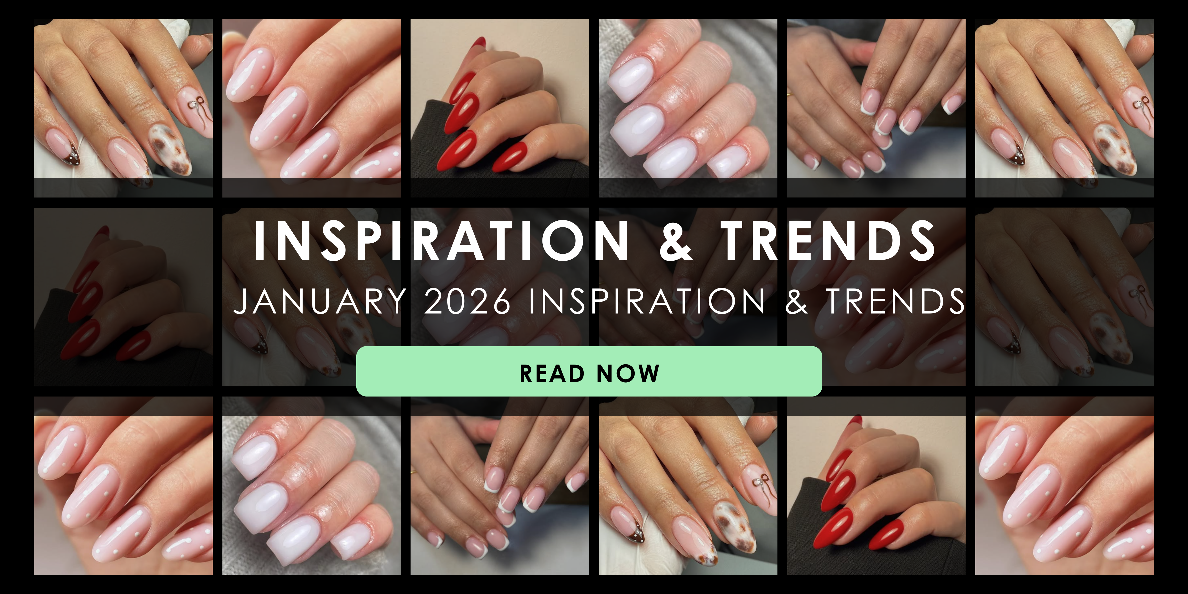 January 2026 Inspiration & Trends