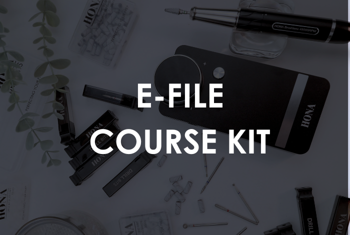 Online E-File Beginners Course Kit