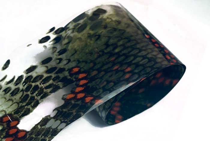 104 - Realistic Clear Snake Skin Foil
